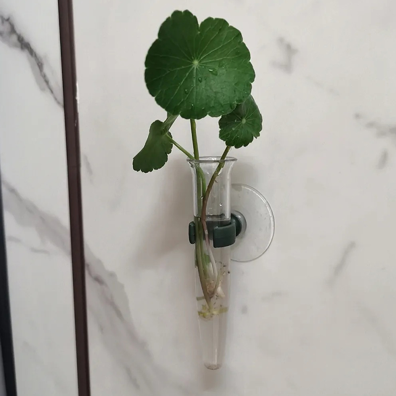 Tabung Air Bunga 11cm, Wadah N - Supply For Florist ulasan dan harga
