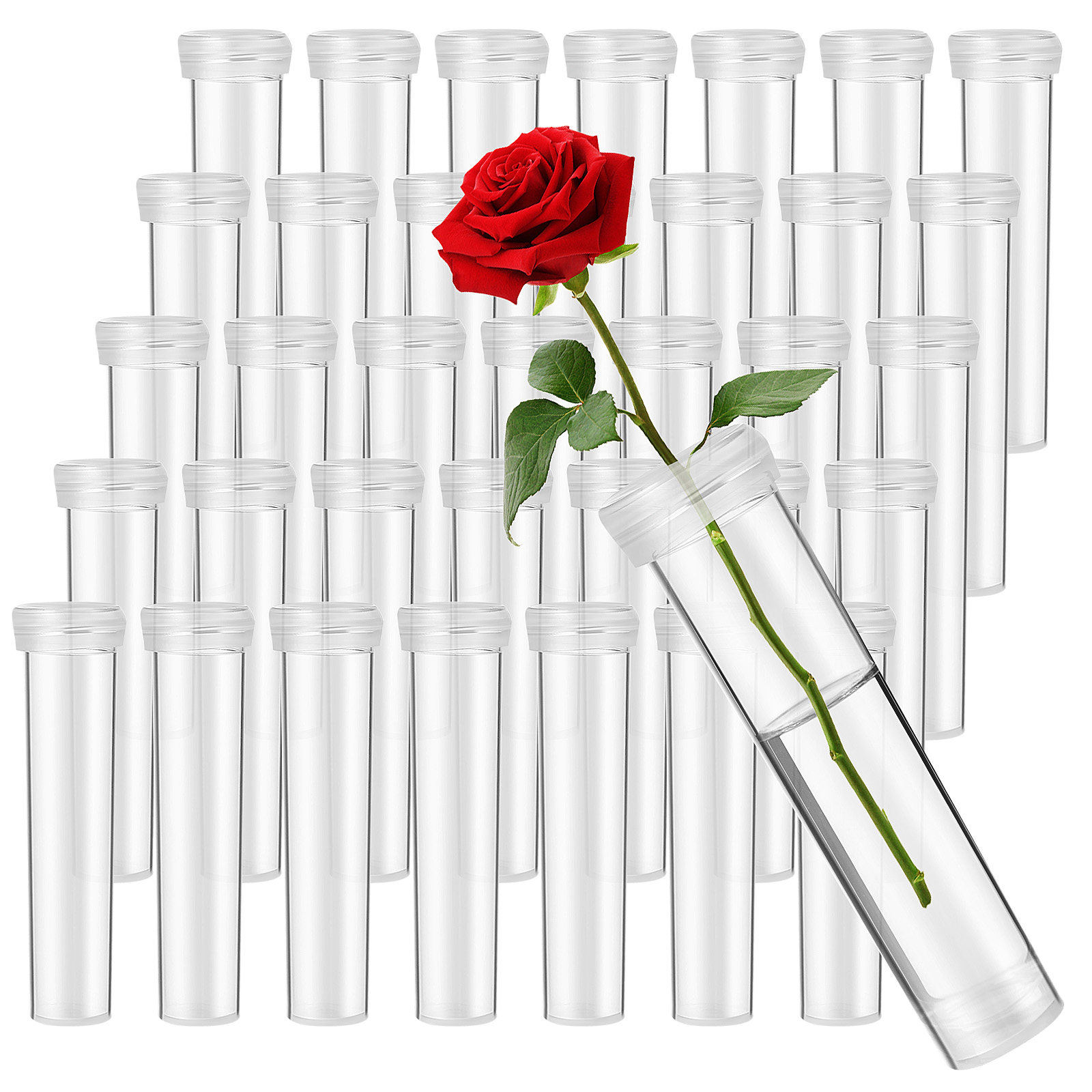 100 Buah Tabung Air Bunga, Tab - Supply For Florist ulasan dan harga