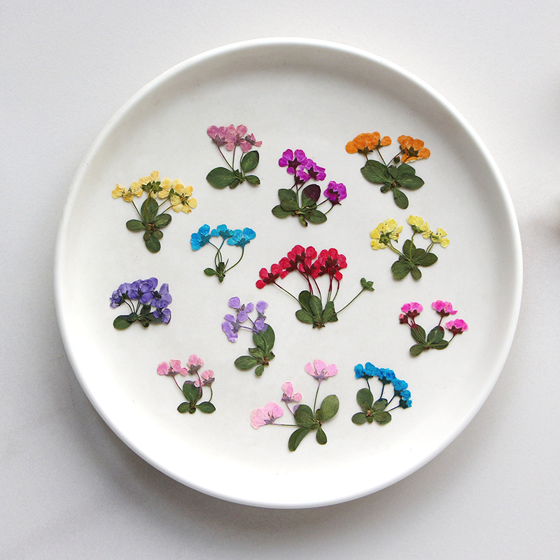2-3Cm/12 Buah, Bunga Kecil Yan - Supply For Florist ulasan dan harga