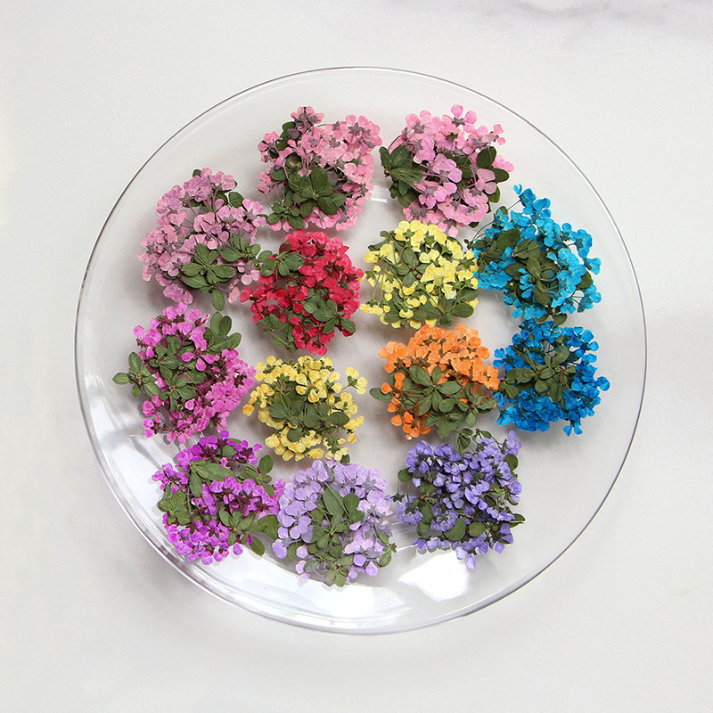 2-3Cm/12 Buah, Bunga Kecil Yan - Supply For Florist ulasan dan harga