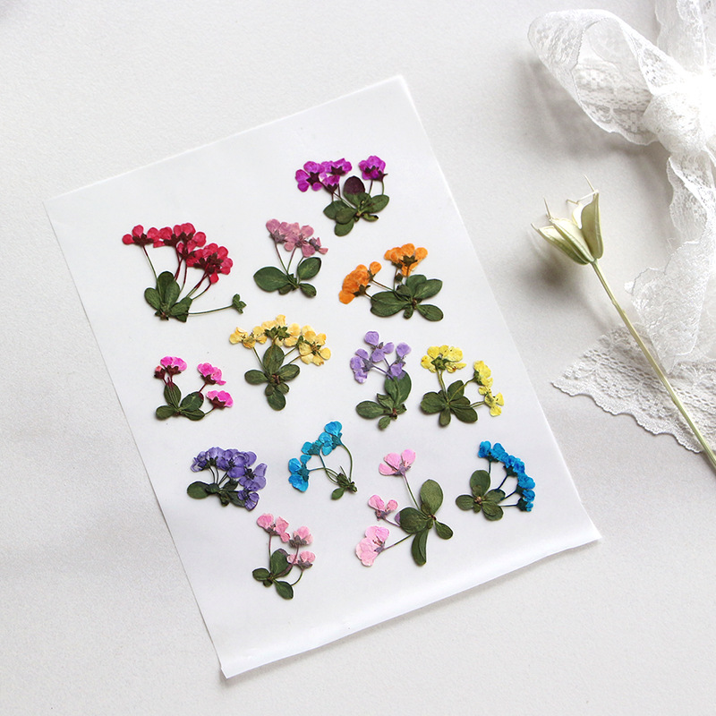 2-3Cm/12 Buah, Bunga Kecil Yan - Supply For Florist ulasan dan harga