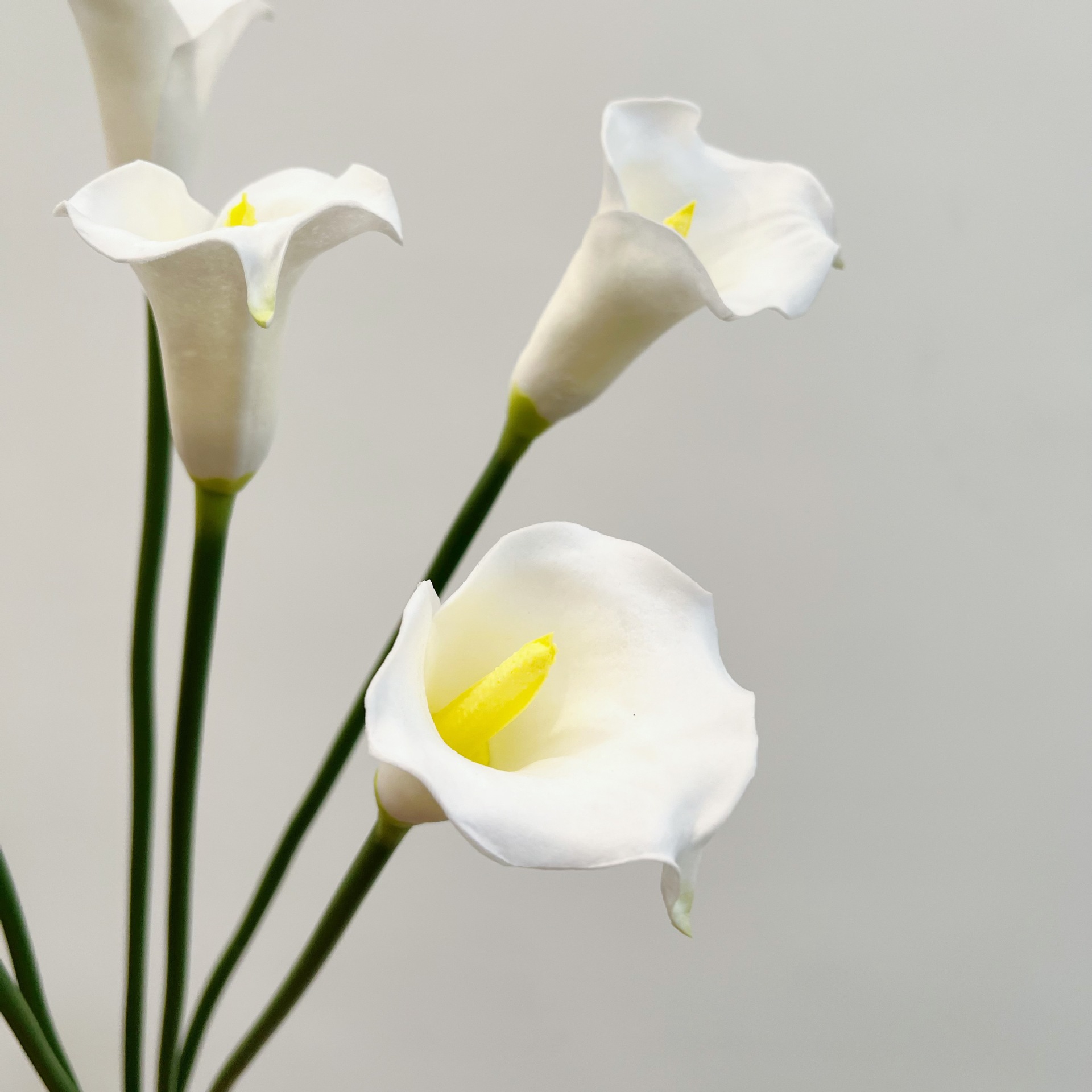 Bunga Calla Lily Buatan 26 Inc - Supply For Florist ulasan dan harga