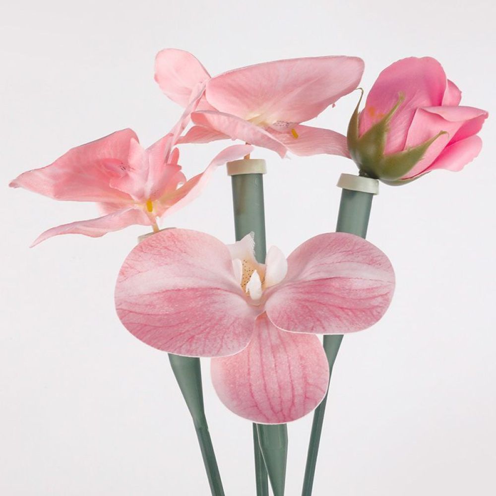 Tabung Pengawet Bunga, Botol P - The Florist Supply Shop ulasan dan harga