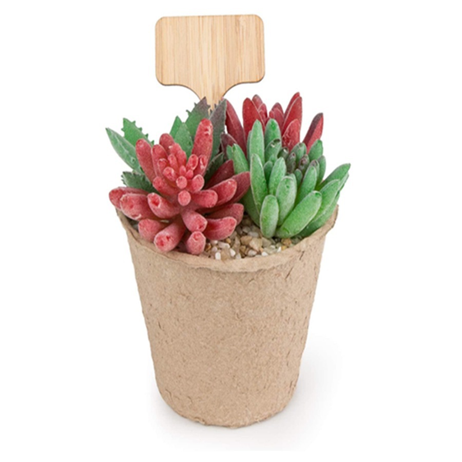 100 Buah Tongkat Penanda Tanam - Floral Picks Wood ulasan dan harga
